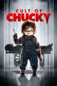 Chuckyho kult