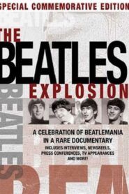 Beatles: Velký začátek
