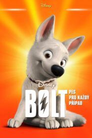 Bolt – pes pro každý případ