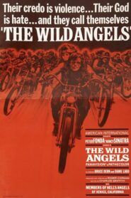 The Wild Angels / Divocí andělé