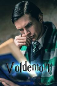 Voldemort : Les Origines de l’héritier